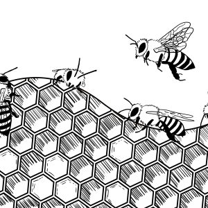 Honeybee Math ©2024 A. T. Baron